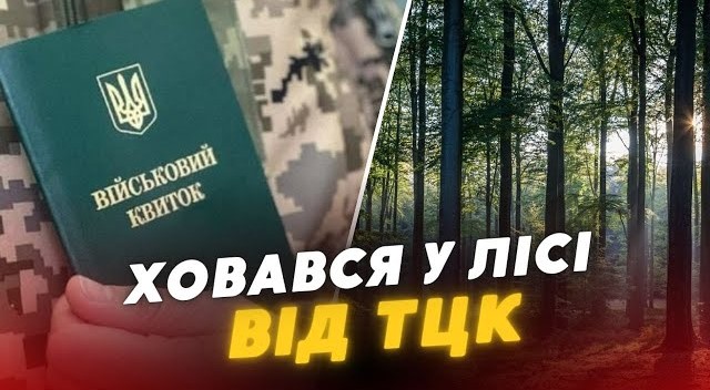 Мешканець Волині побив поліцейського, злякавшись повістки, і ховався в лісі: як його покарали