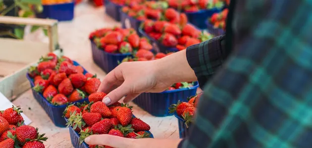 В Україні стрімко змінили вартість головної весняної ягоди: скільки тепер коштує в супермаркетах